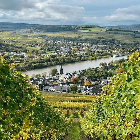 Mosel-cottage