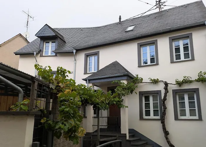 Mosel-cottage Briedern